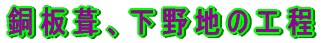 n̍H 