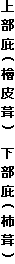 㕔(w畘) (`)